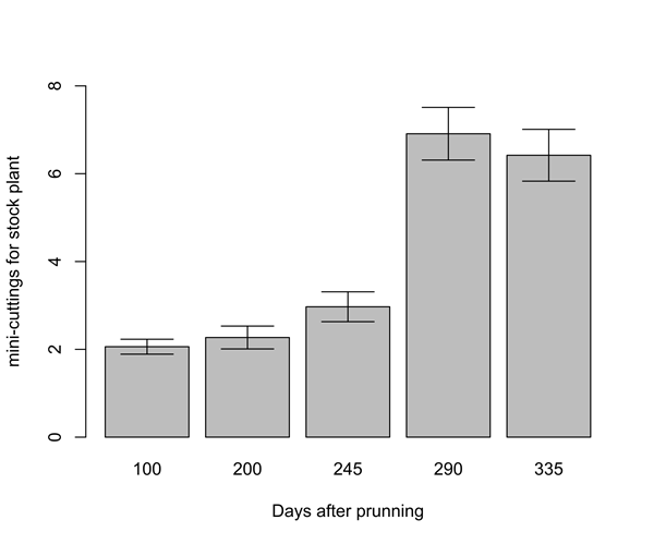 Average productivity of Khaya ivorensis mini-stumps, started 100 days after apical prunning. Vertical bars indicated the Confi dence Interval - CI(p < 5%), n=82.