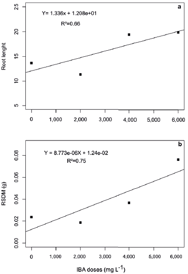 Effect of indole-3-butyric acid (IBA) doses on root length (a) and root system dry mass (RSDM) (b) average of Khaya ivorensis mini-cuttings at 30 days after staking, (N=12).