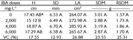Height (H), stem diameter (SD), leaf area (LA), shoot dry mass (SDM) and root system dry mass (RSDM) of Khaya ivorensis clonal seedlings, 120 days after staking.