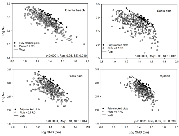 Average maximum stand density (DAM) relationships for each species. NT, QMD, RD and SE refer to trees per hectare, quadratic mean diameter (cm), relative density, and standard error, respectively.