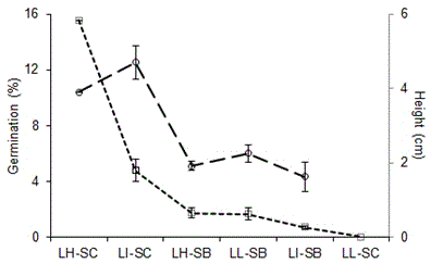 Germination (dotted line) and height (dashed line) of C. culeou related to light intensity (LH: high, LI: intermediate, LL: low) and substrate type (SB: superfi cial mineral, SC: organic 1). Vertical bars indicate SE. Means differ signifi cantly among treatments (ANOVA, p < 0.05) (Test IV).