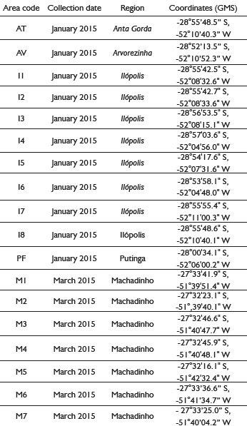Areas of collection of Fusarium spp. isolates from Ilex paraguariensis plantations in RS.