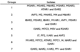 Groups of Fusarium spp. isolates based on the UPGMA clustering method.