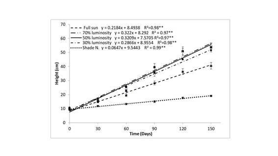 Growth in height (cm) of Khaya senegalensis at different levels of luminosity as a time function.