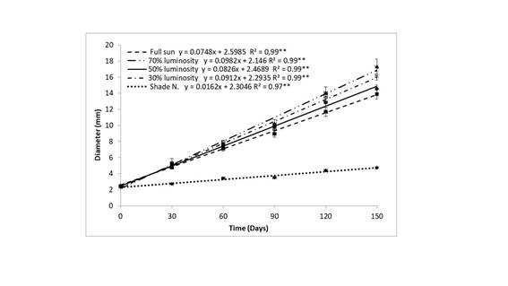 Growth in diameter (mm) of young plants of Khaya senegalensis at different levels of luminosity as a time function.