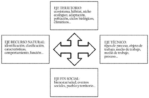 Articulaci&oacute;n entre ejes curriculares en el MII
