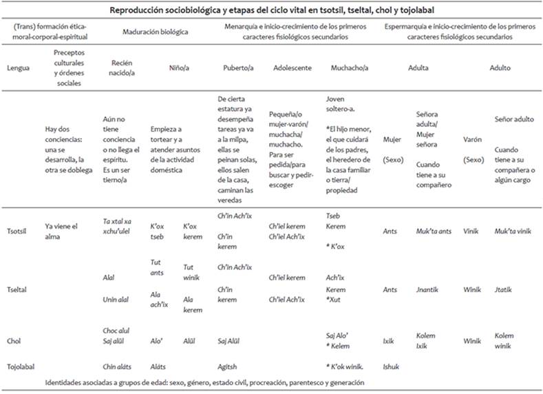 Haciendo el cuerpo: reproducci&oacute;n sociobiol&oacute;gica entre ind&iacute;genas de Chiapas