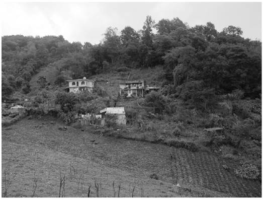 Combinaci&oacute;n de varias actividades agr&iacute;colas alrededor de casas habitacionales construidas en una parcela ejidal de Tlalnelhuayocan