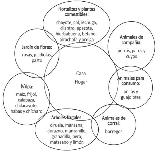 Organizaci&oacute;n de los sembrad&iacute;os y corrales en el sitio de las artesanas 