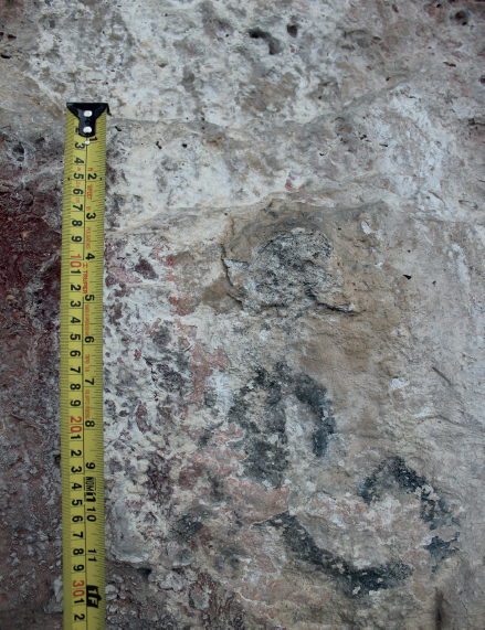 Detalle del diseño de mono color negro del periodo histórico