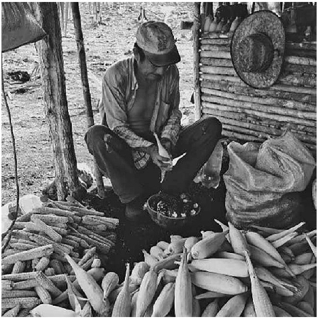 Desgranando el ma&iacute;z