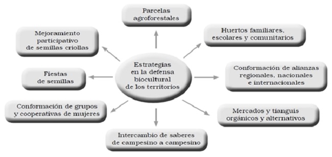 Estrategias para la defensa biocultural de los territorios