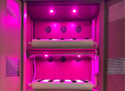 Demostraci�n de luces LED