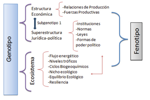 Genotipo de la Ciudad Cuenca