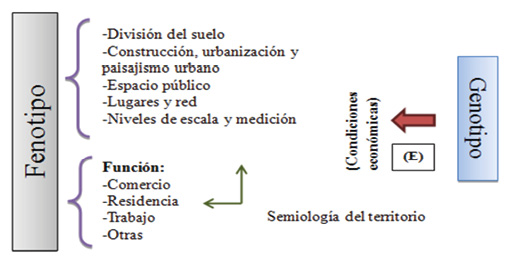 Fenotipo de la Ciudad Cuenca