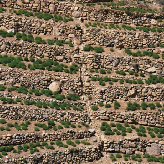 Vista frontal de una parcela