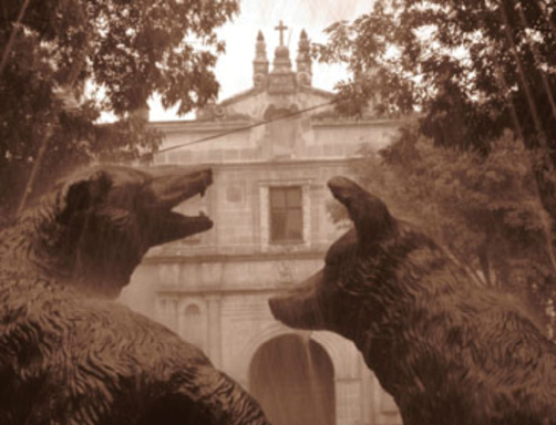 Coyotes en el centro de Coyoac&aacute;n