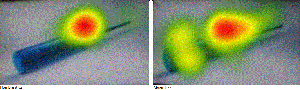 Ilustraci&oacute;n 1. Dos resultados representativos de las im&aacute;genes obtenidas con el software Tobbi Studio