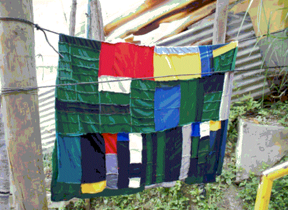 Imagen 4. La a&ntilde;orada cocha de retazos, de Carlos M&uacute;nera (2009)