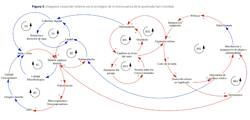 Figura 5. Diagrama causal del sistema socio ecol&oacute;gico de la microcuenca de la quebrada San Crist&oacute;bal
			