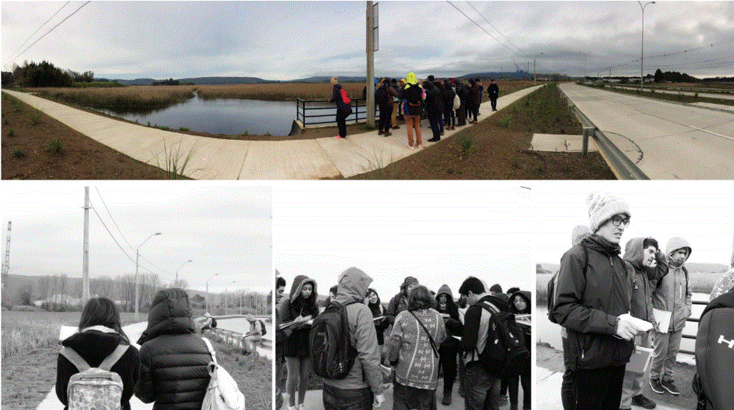 Figura 1. Sector Las Mulatas 
			