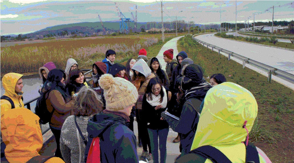 Figura 2. Sector Las Mulatas
			