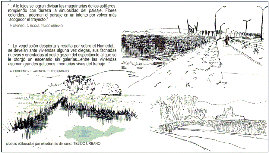 Figura 5. Representaci&oacute;n del lugar
			