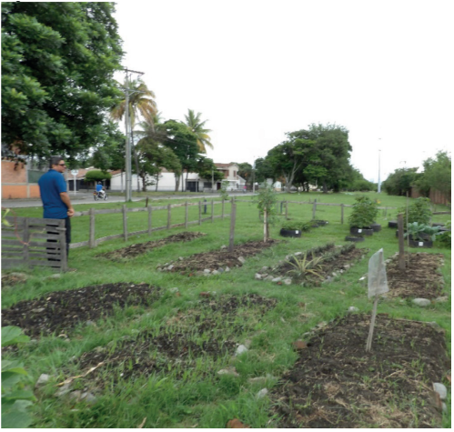 Huerta urbana pblica de Palmira (Valle del Cauca)