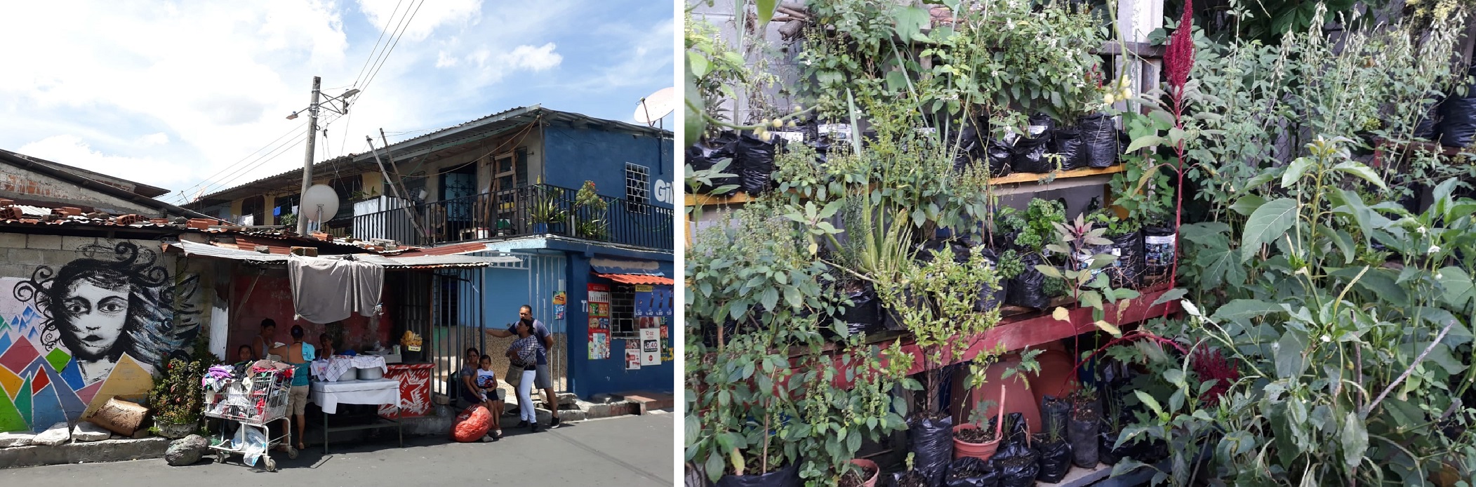 Espacio comercial informal y cooperativa jardinera pertenecientes al Programa de Mejoramiento de Barrios (San Salvador, El Salvador)