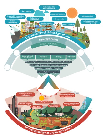 Moving towards sustainable urban agriculture through leverage points.