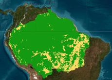  Transformaci�n de la infraestructura urbana en la Pan-Amazon�a entre 1985 (izquierda) y 2023 (derecha) 