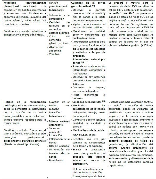 Plan de cuidados de enfermer&iacute;a para el neonato AMG.