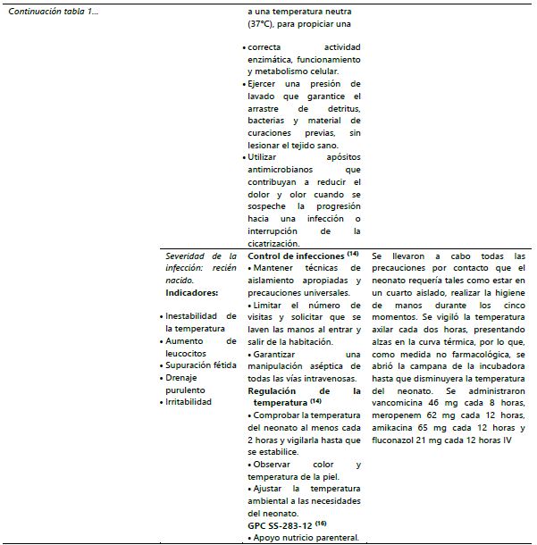 Plan de cuidados de enfermer&iacute;a para el neonato AMG.