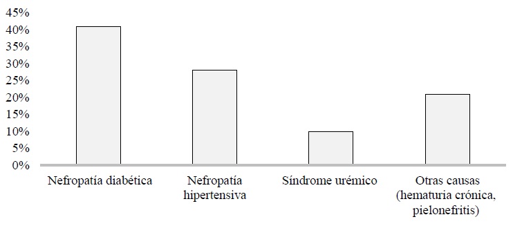 Diagnóstico de ingreso a la unidad de hemodiálisis, 2018 (n=29) 
