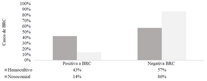 Relación de bacteriemia relacionada a catéter/nosocomial, 2018 (n=29)