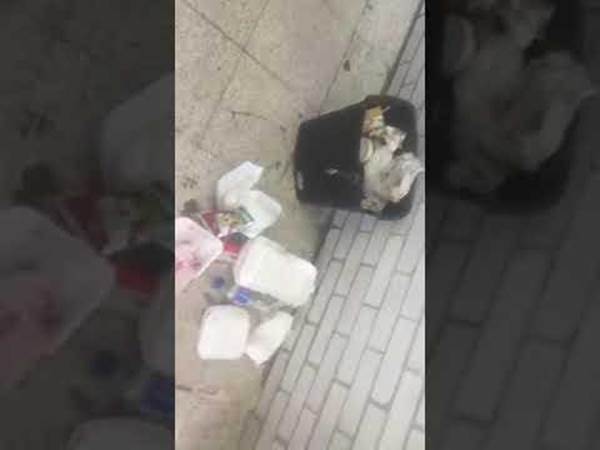 Un bote para la basura de un saln de clases