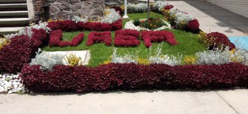 Jardinera Facultad de Odontologa
