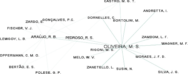 Rede de pesquisa com as autoras Oliveira, M. S., Araujo, R. B. (PUC-RS) e Pedroso, R. S. (UFRGS)