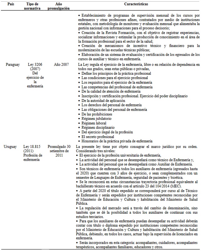 Leyes y reglamentaciones sobre el ejercicio de la enfermería en el Mercosur