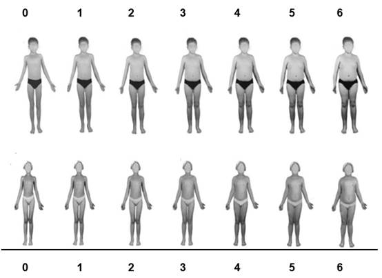 Children’s Body Image Scale (CBIS) (2012).