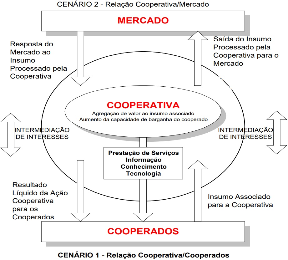 Figura 1 – Modelo das Relações Econômicas entre Cooperativa, Cooperados e
Mercado 

 