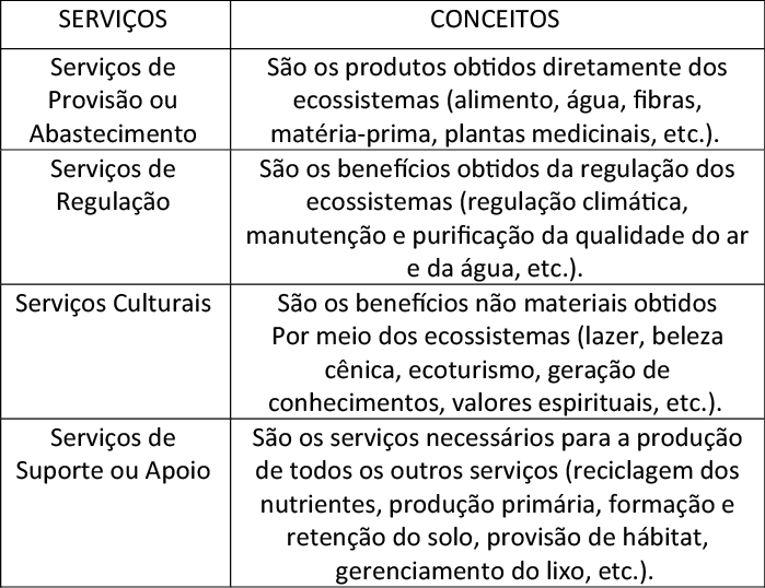 Classifica&ccedil;&atilde;o e Defini&ccedil;&atilde;o dos Servi&ccedil;os Ambientais Segundo &ndash; AEM