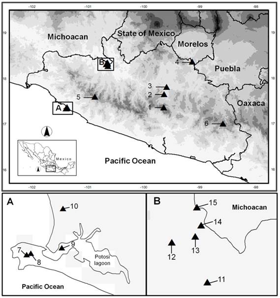 Map of localities where birds were sampled in Guerrero, Mexico. The numbers correspond to the localities of Table 1. Gray tones represent elevation.