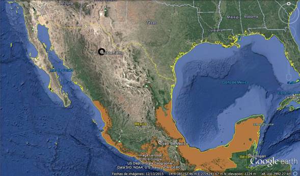 Distribución de estancia neotropical de Setophaga dominica (chipe
garganta-amarilla) en color naranja; distribución potencial reportada
por Navarro y Peterson (2007); el
círculo negro, en Chihuahua, es el presente registro.