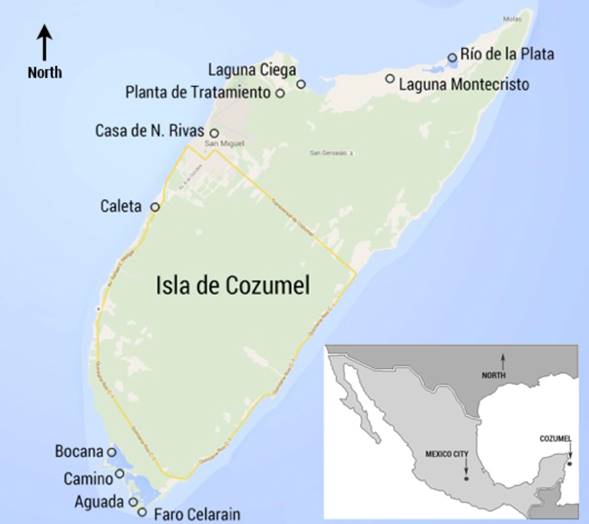 Cozumel Island, M&eacute;xico and where Cozumel Mangrove Warbler was documented.