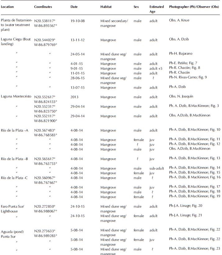 Records of Cozumel Mangrove Warbler.