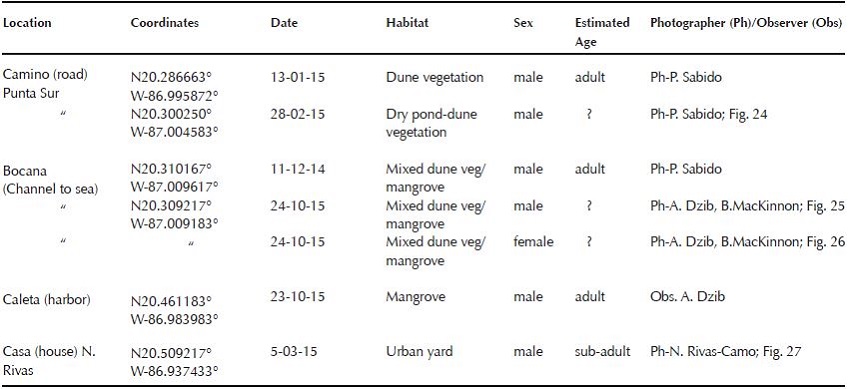 Records of Cozumel Mangrove Warbler.