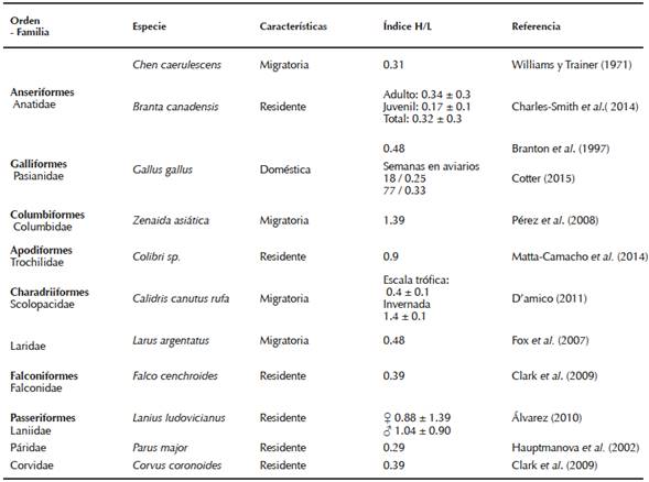 Relaci&oacute;n heter&oacute;filo/linfocito (H/L) en diferentes especies de aves.