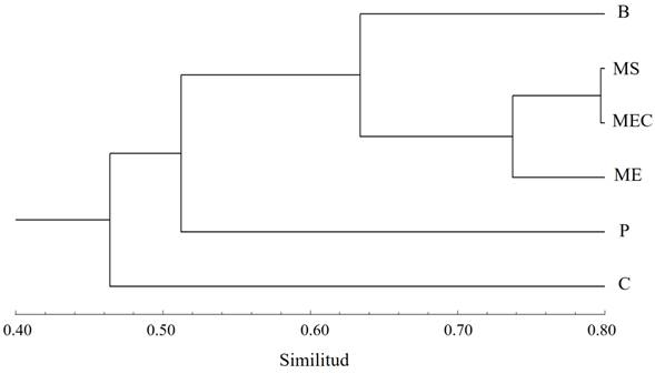 Dendrograma de similitud en la composici&oacute;n de especie de aves de seis tipos de vegetaci&oacute;n del sureste del Valle del Mezquital, M&eacute;xico. Tipos de vegetaci&oacute;n: MEC= matorral espinoso-crasicaule, ME= matorral espinoso, MS= matorral submontano, B= bosque de encino, C= cultivos, P= pastizal ganadero.