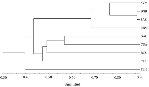 Dendrograma de similitud en la composici&oacute;n de especie de aves del sureste del Valle del Mezquital y otras regiones &aacute;ridas y semi&aacute;ridas de Norteam&eacute;rica. Sitios: SVM= sureste del Valle del Mezquital; BGB= Big Bend, Texas; SAZ= sureste de Arizona; RBM= Reserva de la Biosfera Barranca de Metztitl&aacute;n; GAL= Galeana, Nuevo Le&oacute;n; CUA= Valle de Cuatroci&eacute;negas, Coahuila; BCS= Baja California Sur; CEL= Celaya, Guanajuato; TEH= Tehuac&aacute;n, Puebla.